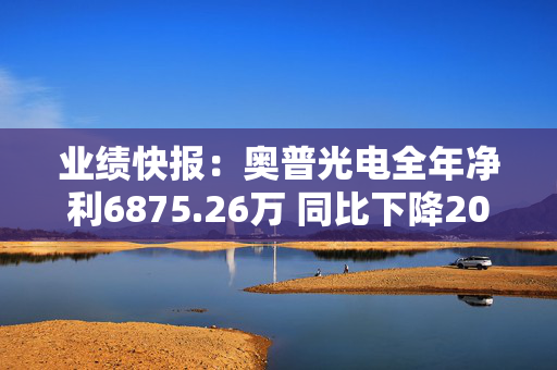 业绩快报：奥普光电全年净利6875.26万 同比下降20.64%