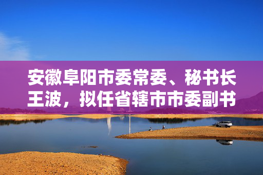 安徽阜阳市委常委、秘书长王波，拟任省辖市市委副书记