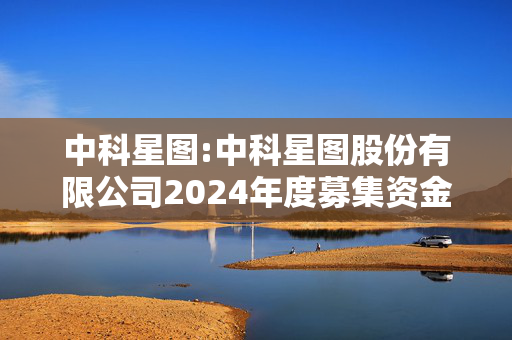 中科星图:中科星图股份有限公司2024年度募集资金存放与实际使用情况的专项报告