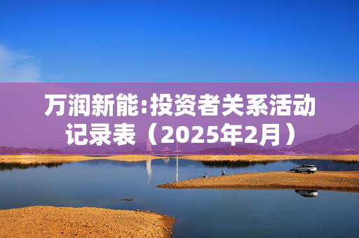 万润新能:投资者关系活动记录表（2025年2月）