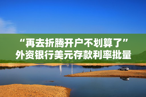 “再去折腾开户不划算了” 外资银行美元存款利率批量下调 投资者打起退堂鼓