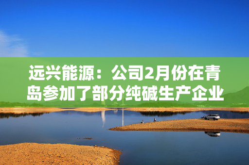 远兴能源：公司2月份在青岛参加了部分纯碱生产企业市场交流会