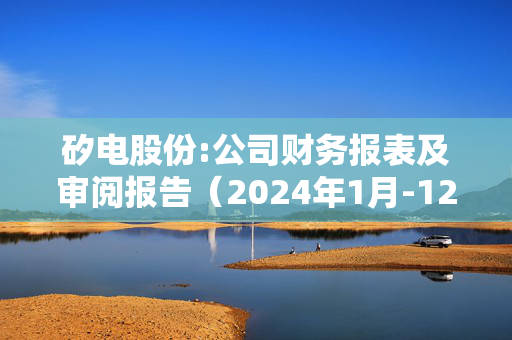 矽电股份:公司财务报表及审阅报告（2024年1月-12月）