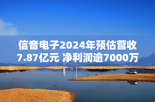 信音电子2024年预估营收7.87亿元 净利润逾7000万元