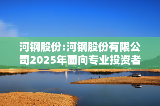 河钢股份:河钢股份有限公司2025年面向专业投资者公开发行可续期公司债券（第一期）发行公告