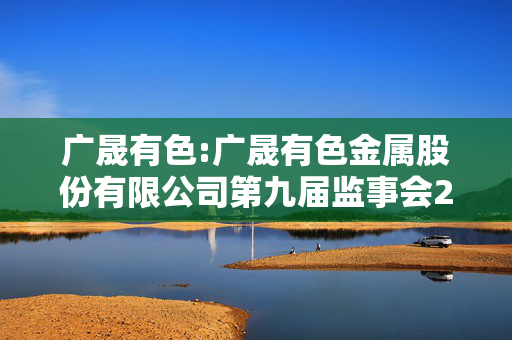 广晟有色:广晟有色金属股份有限公司第九届监事会2025年第二次会议决议公告