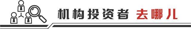 AI暖风搅动一池春水 机构调研热情快速升温